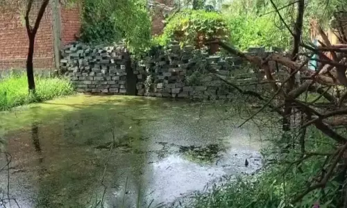 दर्दनाक हादसा: गड्ढे में डूबने से डेढ़ साल के मासूम की मौत दर्दनाक हादसा: गड्ढे में डूबने से डेढ़ साल के मासूम की मौत