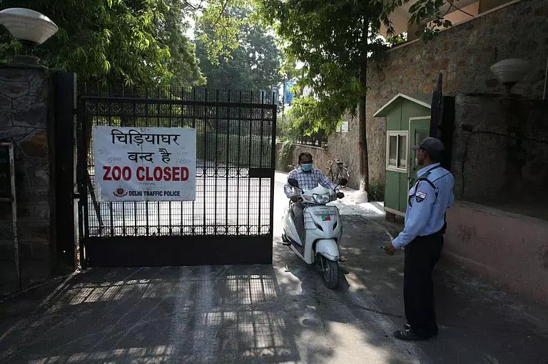 पेंटेड स्टॉर्क में H5N1 बर्ड फ्लू पाए जाने के बाद चिड़ियाघर बंद पेंटेड स्टॉर्क में H5N1 बर्ड फ्लू पाए जाने के बाद चिड़ियाघर बंद