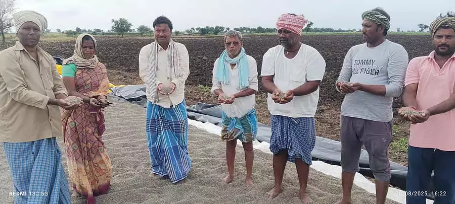 Lakshmeshwar : एक खाद्य आपूर्तिकर्ता अपनी फसल की कीमत में गिरावट से चिंतित Lakshmeshwar : एक खाद्य आपूर्तिकर्ता अपनी फसल की कीमत में गिरावट से चिंतित