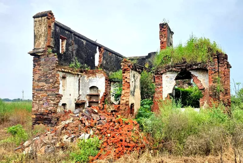 Haryana में 1984 के सिख विरोधी दंगों के पीड़ितों के लिए नौकरियों का क्या मतलब है Haryana में 1984 के सिख विरोधी दंगों के पीड़ितों के लिए नौकरियों का क्या मतलब है