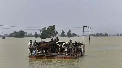 Punjab floods : फिरोजपुर में अब तक 3,000 लोगों को बचाया गया Punjab floods : फिरोजपुर में अब तक 3,000 लोगों को बचाया गया