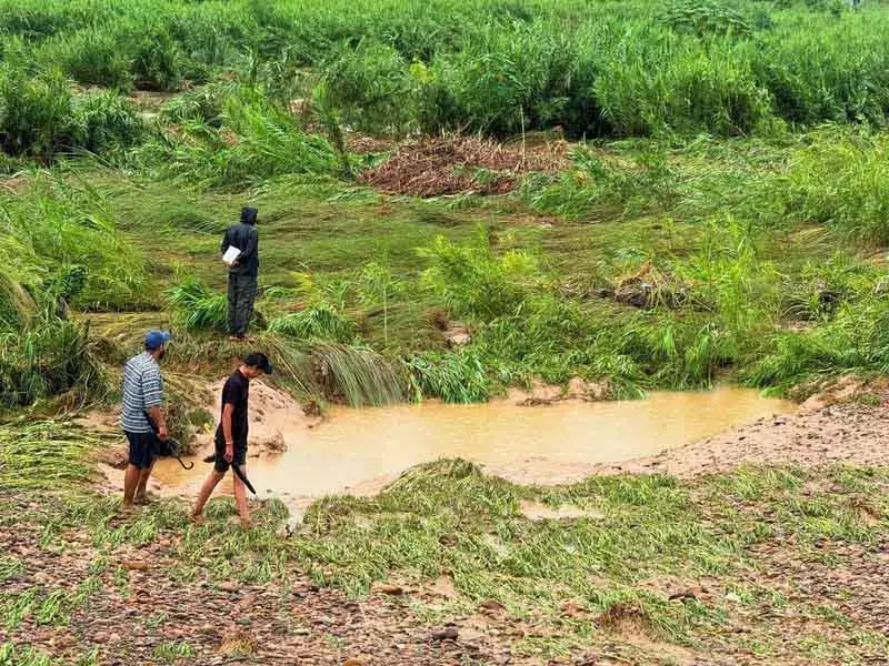 Pong dam से पानी छोड़े जाने से कांगड़ा जिले में फसलों को नुकसान Pong dam से पानी छोड़े जाने से कांगड़ा जिले में फसलों को नुकसान