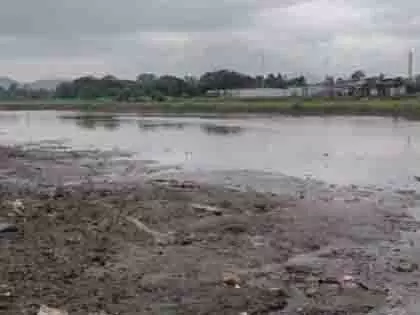 Bhiwandi: नाले के पास अज्ञात महिला का कटा हुआ सिर मिला Bhiwandi: नाले के पास अज्ञात महिला का कटा हुआ सिर मिला