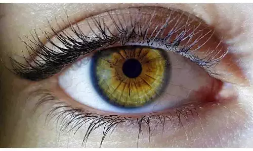 Yoga For Eye:  इन 5 योगासनों से मिलेंगे चमत्कारी फायदे