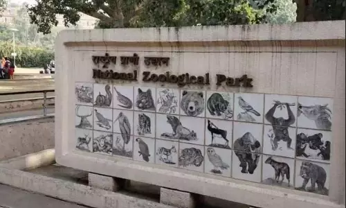 दिल्ली चिड़ियाघर में बर्ड फ्लू, आगंतुकों की एंट्री बंद