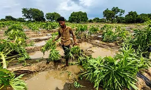 Karnataka : कल्याण जिलों में बारिश और उफनती नदियों से हालात खराब Karnataka : कल्याण जिलों में बारिश और उफनती नदियों से हालात खराब