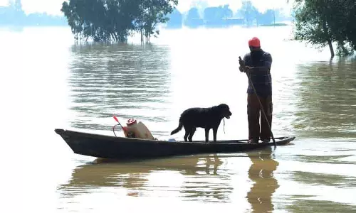 Sultanpur Lodhi में नावों की कमी, बचाव कार्य धीमा Sultanpur Lodhi में नावों की कमी, बचाव कार्य धीमा