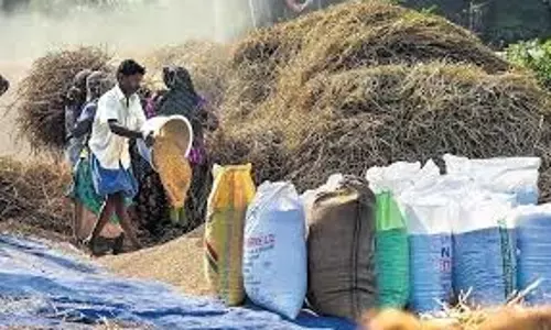 तमिलनाडु सरकार ने धान के लिए नए एमएसपी की घोषणा की तमिलनाडु सरकार ने धान के लिए नए एमएसपी की घोषणा की