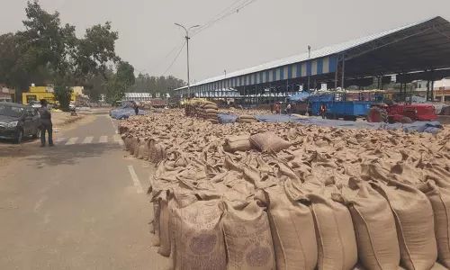 Haryana : 2017-2021 में 80,000 मीट्रिक टन गेहूं का स्टॉक खराब हुआ कैग