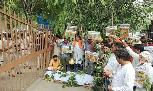 Haryana :  रोहतक में पेड़ों का अंतिम संस्कार