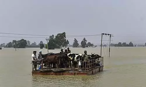 Punjab floods : फिरोजपुर में अब तक 3,000 लोगों को बचाया गया