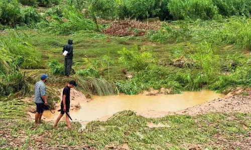 Pong dam से पानी छोड़े जाने से कांगड़ा जिले में फसलों को नुकसान