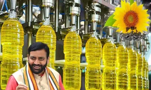 Kurukshetra: सूरजमुखी तेल प्लांट की तैयारी, जमीन पर खर्च तय Kurukshetra: सूरजमुखी तेल प्लांट की तैयारी, जमीन पर खर्च तय