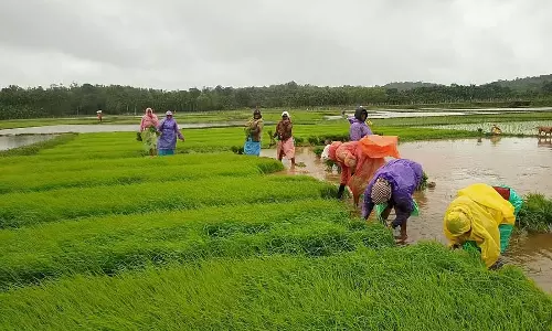 घटती कृषि भूमि; खाद्य फसलों में रुचि की कमी घटती कृषि भूमि; खाद्य फसलों में रुचि की कमी