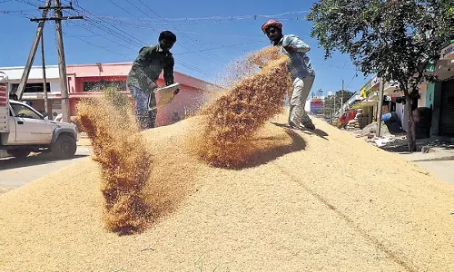 kharif  विपणन सत्र से पहले तमिलनाडु ने खरीद मूल्य 2,545 रुपये तय किया