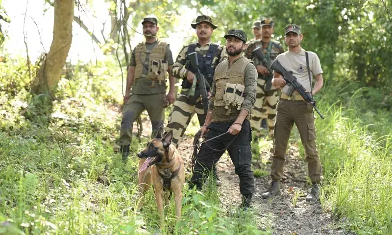 Assam: विश्वसनीय K9 एमी का सात साल की उम्र में निधन, आरण्यक ने शोक व्यक्त किया