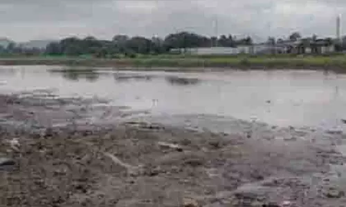 Bhiwandi: नाले के पास अज्ञात महिला का कटा हुआ सिर मिला