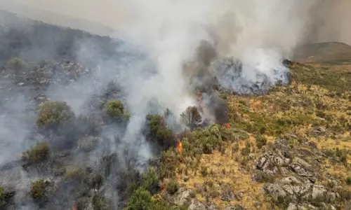 Portugal: किशोर ने कई जंगल की आग लगाने की बात स्वीकार की Portugal: किशोर ने कई जंगल की आग लगाने की बात स्वीकार की