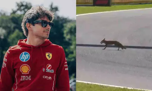 Ferrari के चार्ल्स लेक्लर ने डच ग्रैंड प्रिक्स में ट्रैक पर लोमड़ी देखी Ferrari के चार्ल्स लेक्लर ने डच ग्रैंड प्रिक्स में ट्रैक पर लोमड़ी देखी