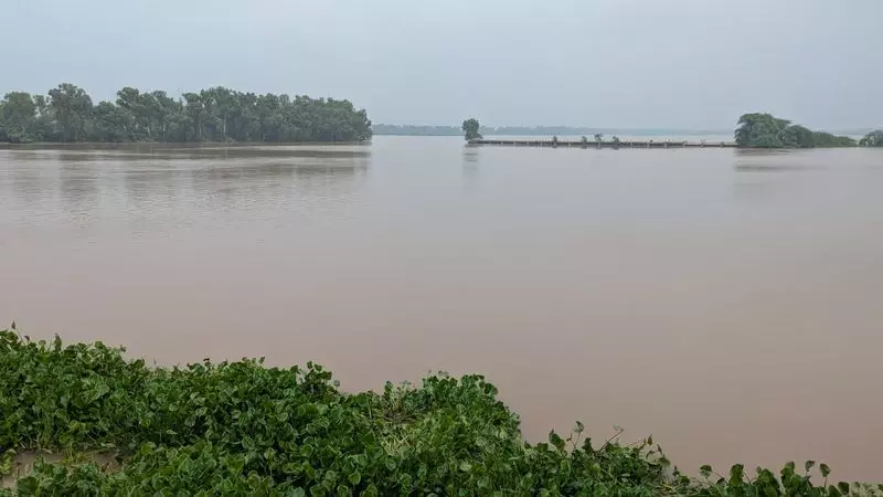 Haryana : घग्गर नदी का जलस्तर खतरे के निशान से ऊपर, सिरसा के किसान चिंतित Haryana : घग्गर नदी का जलस्तर खतरे के निशान से ऊपर, सिरसा के किसान चिंतित