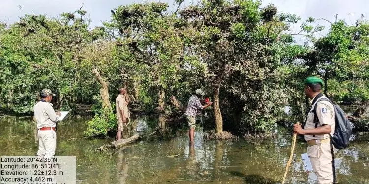 भीतरकनिका में तीन दिवसीय आवासीय मानसून पक्षी गणना शुरू भीतरकनिका में तीन दिवसीय आवासीय मानसून पक्षी गणना शुरू