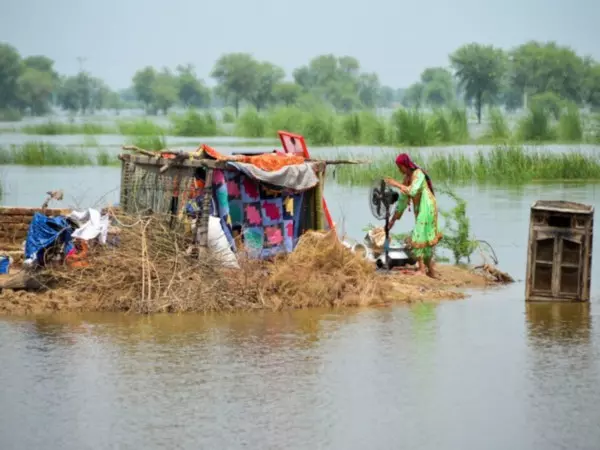 Pakistan: पंजाब में बाढ़ से 33 लोगों की मौत, 2200 गांव प्रभावित Pakistan: पंजाब में बाढ़ से 33 लोगों की मौत, 2200 गांव प्रभावित