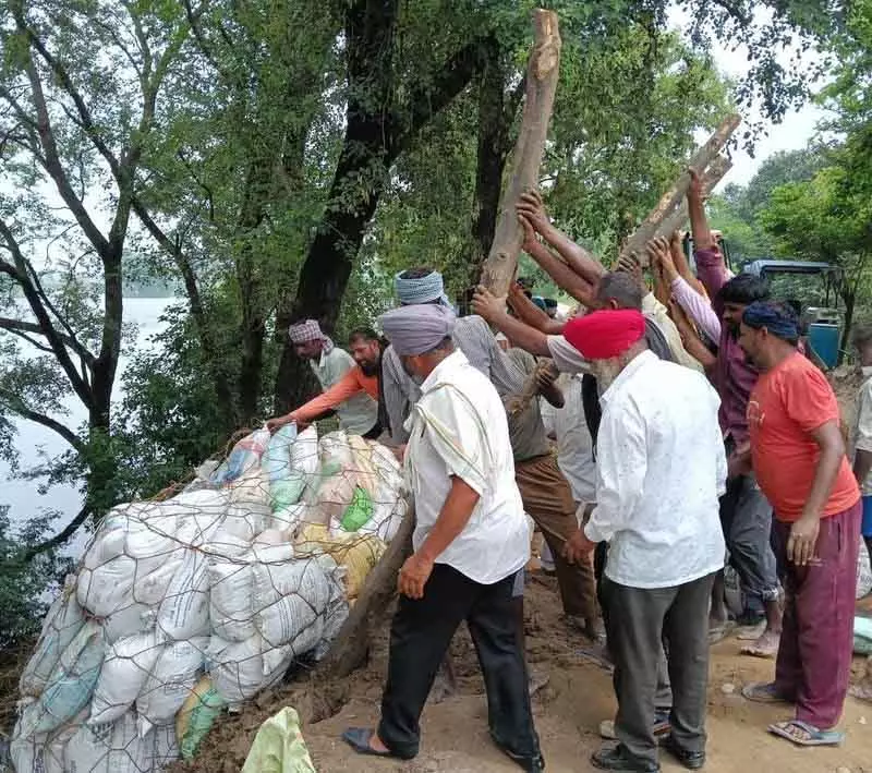 धुस्सी बांध तटबंध सुरक्षित, पिछले 10 दिनों में 50 हजार मिट्टी की बोरियां डाली गईं: Official धुस्सी बांध तटबंध सुरक्षित, पिछले 10 दिनों में 50 हजार मिट्टी की बोरियां डाली गईं: Official