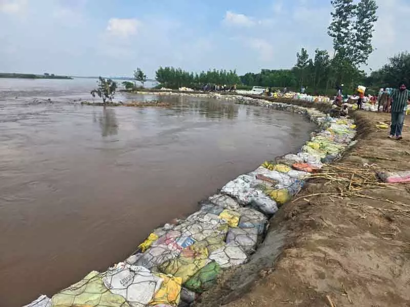 Sutlej नदी का जलस्तर स्थिर होने से सासराली में राहत, निवारक कार्य जारी Sutlej नदी का जलस्तर स्थिर होने से सासराली में राहत, निवारक कार्य जारी