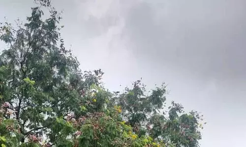 रायपुर में हो रही बारिश, दिनभर के लिए मौसम अलर्ट