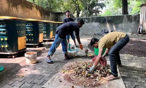 कचरा टावरों के शहर में, दक्षिण दिल्ली कॉलोनी शून्य अपशिष्ट के 8वें वर्ष में कचरा टावरों के शहर में, दक्षिण दिल्ली कॉलोनी शून्य अपशिष्ट के 8वें वर्ष में