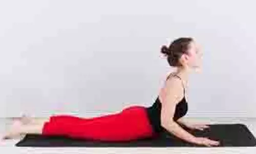 Yoga Tips: बिना दवा के लिवर की समस्याओं को ठीक कर सकते हैं ये योगासन Yoga Tips: बिना दवा के लिवर की समस्याओं को ठीक कर सकते हैं ये योगासन