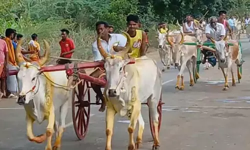 Uttamapalayam : दोहरी बैलगाड़ी सीमा दौड़ Uttamapalayam : दोहरी बैलगाड़ी सीमा दौड़