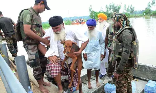 Doaba में ब्यास नदी का एक और बांध टूटा, 35.480 एकड़ जमीन जलमग्न