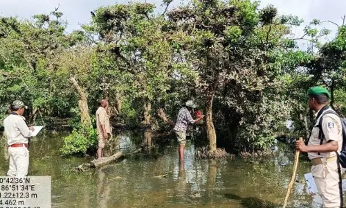 भीतरकनिका में तीन दिवसीय आवासीय मानसून पक्षी गणना शुरू