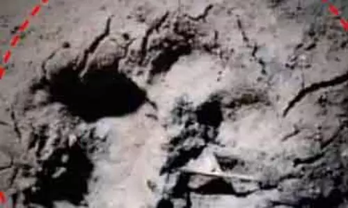 Sundargarh के बोनाई जंगल में बाघ के पैरों के निशान देखे गए