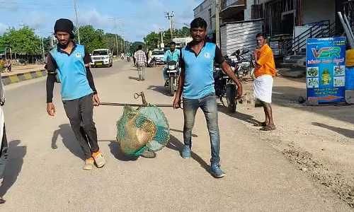 Lingasuguru : आवारा कुत्तों के लिए नसबंदी उपचार Lingasuguru : आवारा कुत्तों के लिए नसबंदी उपचार
