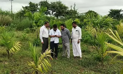 फसल सर्वेक्षण: किसानों के लिए सूचना