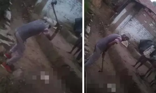 MP : भिंड में ग्रामीणों ने कछुए को कुल्हाड़ी से काटकर मार डाला MP : भिंड में ग्रामीणों ने कछुए को कुल्हाड़ी से काटकर मार डाला