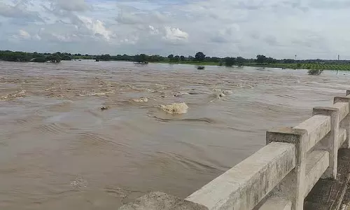 मांजरा नदी में बाढ़: खेतों में पानी घुसा