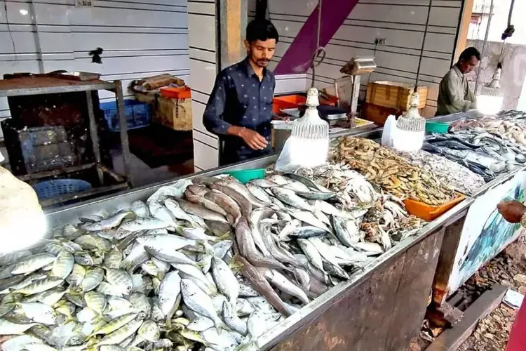 अमेरिकी टैरिफ वृद्धि से केरल के समुद्री खाद्य निर्यात पर असर कटलफिश, ऑक्टोपस की कीमतों में भारी गिरावट अमेरिकी टैरिफ वृद्धि से केरल के समुद्री खाद्य निर्यात पर असर कटलफिश, ऑक्टोपस की कीमतों में भारी गिरावट