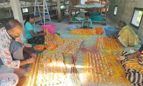 रेशम उत्पादन से मिलती है खुशियाँ : किसान रविकुमार को अच्छी आमदनी