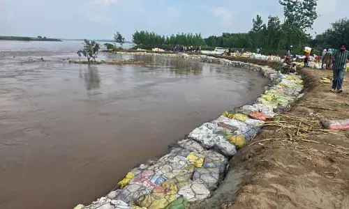 Sutlej नदी का जलस्तर स्थिर होने से सासराली में राहत, निवारक कार्य जारी