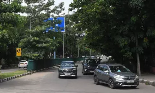 Panchkula में नए साइनबोर्ड पर 1.9 करोड़ रुपये खर्च, लेकिन कई पेड़ों के कारण छिप गए Panchkula में नए साइनबोर्ड पर 1.9 करोड़ रुपये खर्च, लेकिन कई पेड़ों के कारण छिप गए