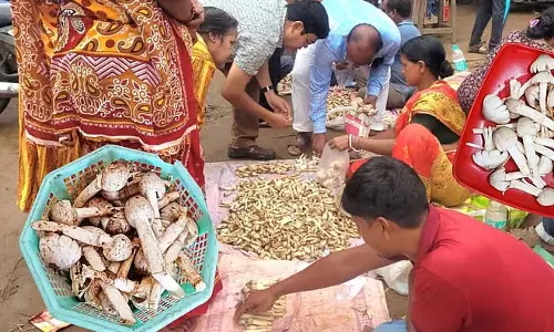 जंगल में जन्म, शहर में प्यार: मिदनापुर की थालियों पर छाए छट्टू जंगल में जन्म, शहर में प्यार: मिदनापुर की थालियों पर छाए छट्टू