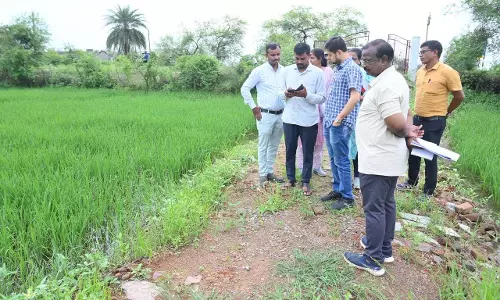 कलेक्टर ने डिजिटल क्रॉप सर्वे का मौके पर जाकर किया निरीक्षण