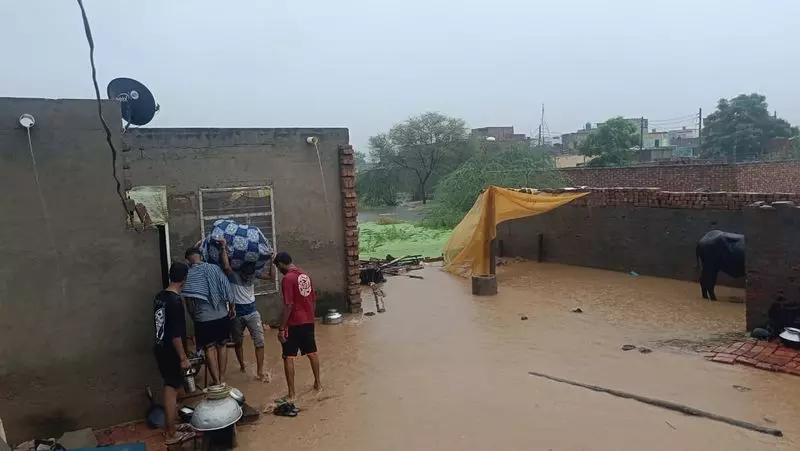 Hisar में भारी बारिश से 80,000 एकड़ ज़मीन जलमग्न, नहरें टूटीं Hisar में भारी बारिश से 80,000 एकड़ ज़मीन जलमग्न, नहरें टूटीं