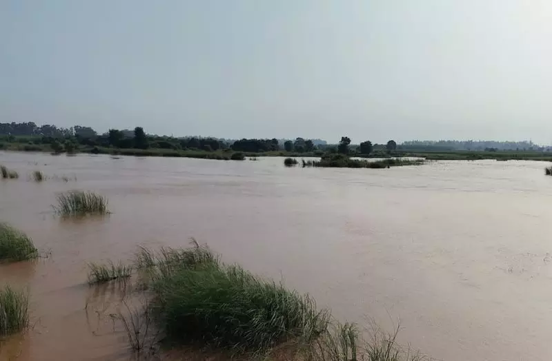 Kurukshetra में नदियां उफान पर, अधिकारियों को सतर्क रहने के निर्देश Kurukshetra में नदियां उफान पर, अधिकारियों को सतर्क रहने के निर्देश