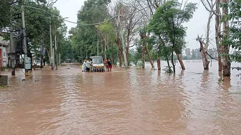 भारी बारिश के बाद Punjab में कॉलेज, विश्वविद्यालय और पॉलिटेक्निक 3 सितंबर तक बंद भारी बारिश के बाद Punjab में कॉलेज, विश्वविद्यालय और पॉलिटेक्निक 3 सितंबर तक बंद
