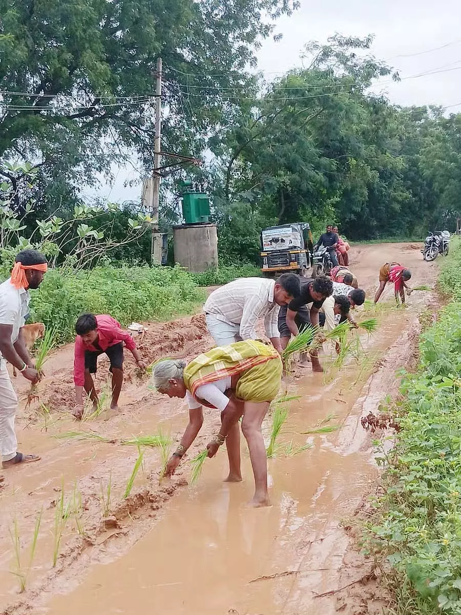 यातायात बाधित: सड़क पर धान की रोपाई से आक्रोश यातायात बाधित: सड़क पर धान की रोपाई से आक्रोश