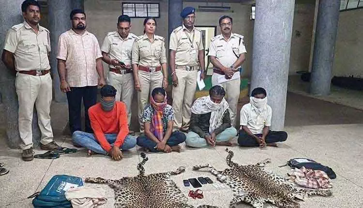 Rayagada में तेंदुए की खाल की तस्करी करने वाले गिरोह का भंडाफोड़, चार गिरफ्तार Rayagada में तेंदुए की खाल की तस्करी करने वाले गिरोह का भंडाफोड़, चार गिरफ्तार